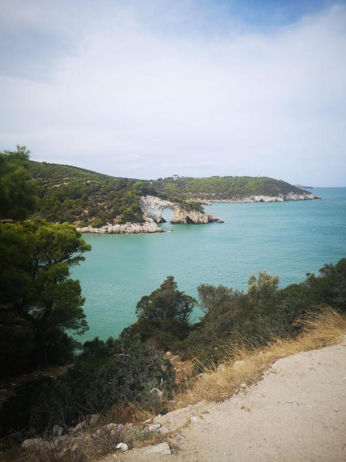 Vieste Holiday Εξωτερικό φωτογραφία